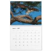 Zeitplan Ospreys in Aktion 2023 Kalender (Mär 2027)