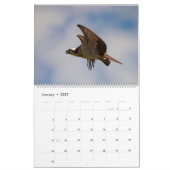 Zeitplan Ospreys in Aktion 2023 Kalender (Jan 2027)