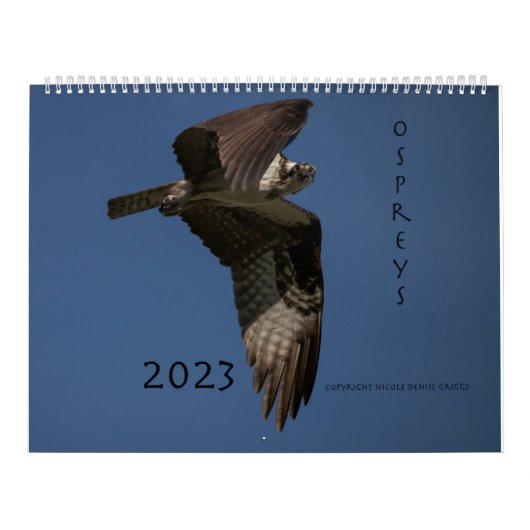 Zeitplan Ospreys in Aktion 2023 Kalender (Titelbild)