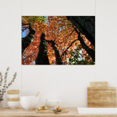 Zeitpunkt des Herbstes Zen Poster (Küche)