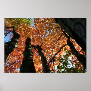 Zeitpunkt des Herbstes Zen Poster