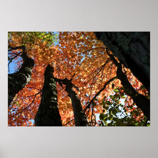 Zeitpunkt des Herbstes Zen Poster (Vorne)