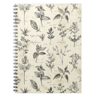 Zeitschrift des alltäglichen Schriftstellers Notizblock