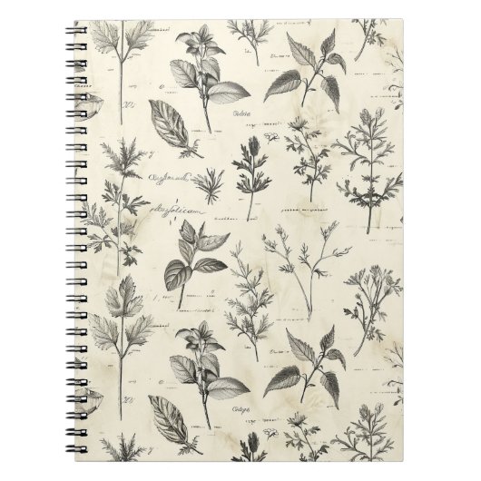 Zeitschrift des alltäglichen Schriftstellers Notizblock (Vorderseite)