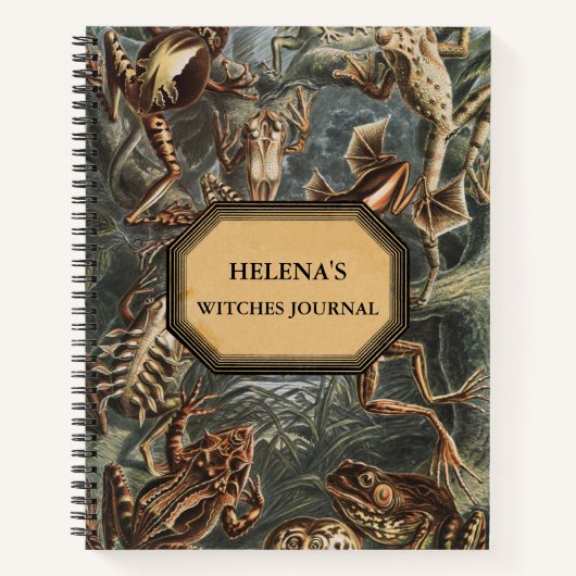 Zeitschrift für doppelte Trouble-Hexen Notizblock (Vorderseite)