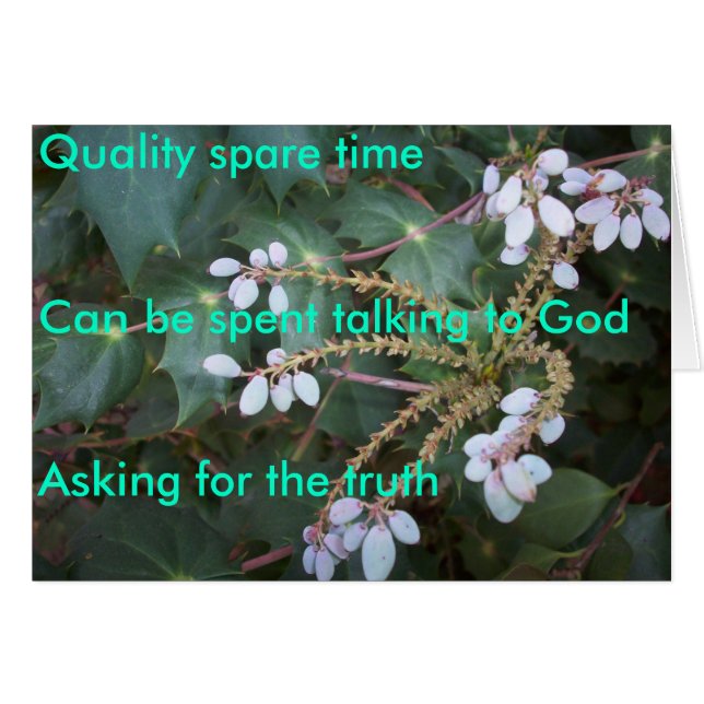 Zeitspanne für die Qualitätssicherung (Vorderseite (Horizontal))