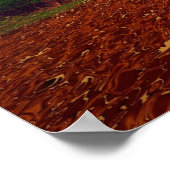 Zeitspanne von 500 Millionen Jahren Poster (Ecke)