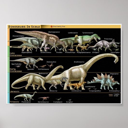 Zeitstrahl der Dinosaurier Biologie Poster (Vorne)