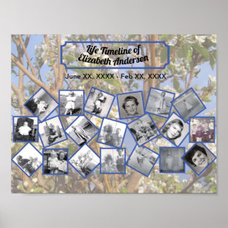 Zeitstrahl-Fotocollage auf weißem Blütenbaum Poster