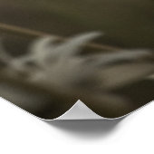 Zeitungen im Fog-Kunstdruck Poster (Ecke)