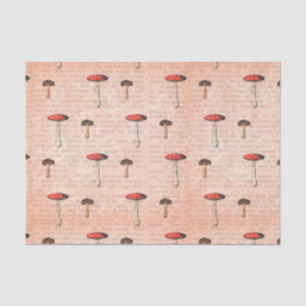 Zeitungspapier und Pilze Seidenpapier