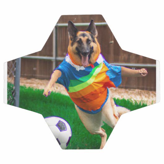 Zelda spielt Fußball (Flach)