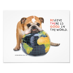 Zeldas Plakat gut in der Welt Fotodruck