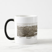 Zelienople Butler County Tasse (Links)