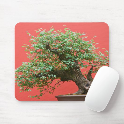 Zelkova Bonsaisbaum Mousepad (Mit Mouse)
