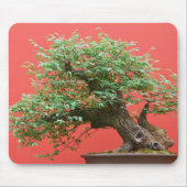 Zelkova Bonsaisbaum Mousepad (Vorne)