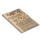 Zelle Zeichnend Auge Retina Santiago Ramon Y Cajal Notizblock (Rechte Seite)