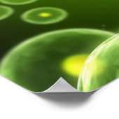 Zellen 2 poster (Ecke)