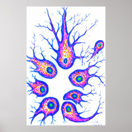 Zellen der Sepia-Kartillage Poster