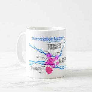 Zellen Gen-Transkriptionsfaktoren Diagramm  Kaffeetasse