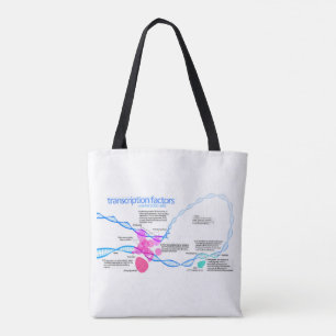 Zellen Gen-Transkriptionsfaktoren Diagramm Tasche