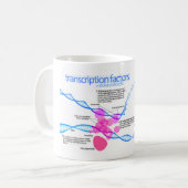 Zellen Gene-Transkriptionsfaktor-Diagramm Kaffeetasse (Vorderseite Links)