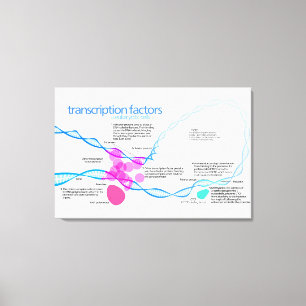 Zellen Gene-Transkriptionsfaktor-Diagramm Leinwanddruck