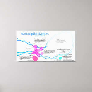 Zellen Gene-Transkriptionsfaktor-Diagramm Leinwanddruck