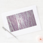 Zellen menschlichen Uterusgewebes mit unbeleidigen Rechteckiger Aufkleber (Umschlag)