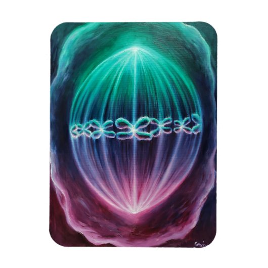 Zellen teilen magnet (Vertikal)
