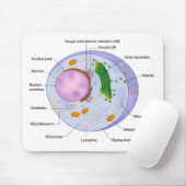 Zellenstruktur mousepad (Mit Mouse)