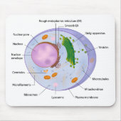 Zellenstruktur mousepad (Vorne)