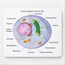 Zellenstruktur mousepad