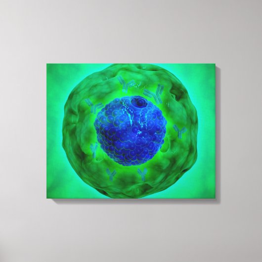 Zellkerne mit Chromosom 1 Leinwanddruck (Vorderseite)