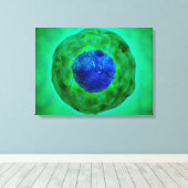 Zellkerne mit Chromosom 1 Leinwanddruck (Insitu (Holzboden))