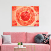 Zellkerne mit Chromosom 2 Leinwanddruck (Insitu (Wohnzimmer))