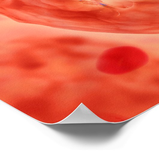 Zellkerne mit Chromosom 2 Poster (Ecke)