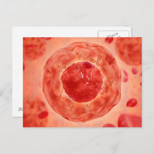 Zellkerne mit Chromosom 2 Postkarte (Vorne/Hinten)