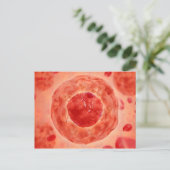 Zellkerne mit Chromosom 2 Postkarte (Stehend Vorderseite)