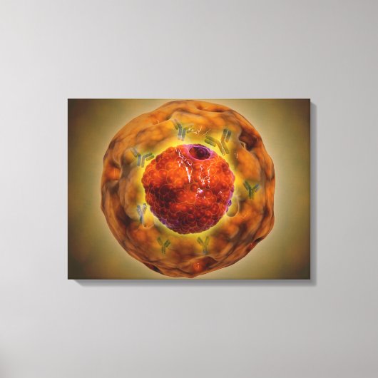 Zellkerne mit Chromosom 3 Leinwanddruck (Vorderseite)