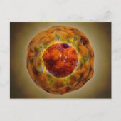 Zellkerne mit Chromosom 3 Postkarte (Vorderseite)