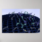 Zellmembran Poster (Vorne)