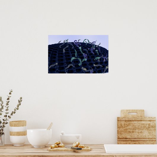 Zellmembran Poster (Küche)