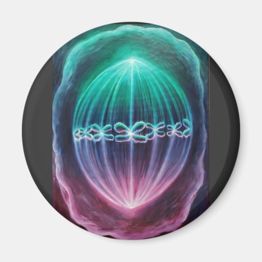 Zellteilung Magnet (Vorne)