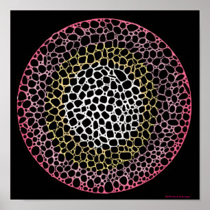 Zellteilungs-Druck Poster