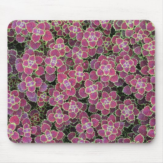 zellular mousepad (Vorne)