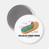 Zelluläres Power House (Mitochondrion) Magnet (Vorderseite/Rückseite)