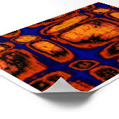 Zellwände Poster (Ecke)