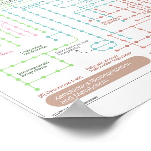 Zellweg Poster (Ecke)