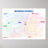 Zellweg Poster (Vorne)